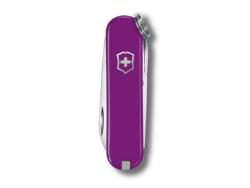 Canif Victorinox CLassic SD Tasty Grape